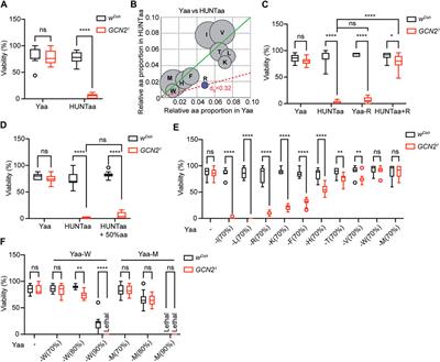 The Role of GCN2 Kinase in Mediating the Effects of Amino Acids on Longevity and Feeding Behaviour in Drosophila